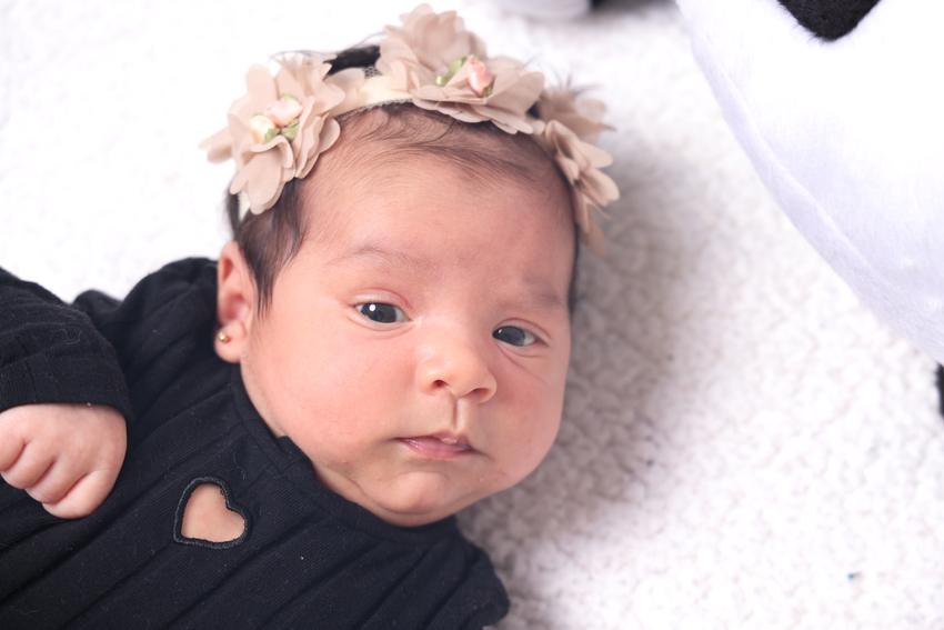 Clica Jess — ensaio fotográfico
