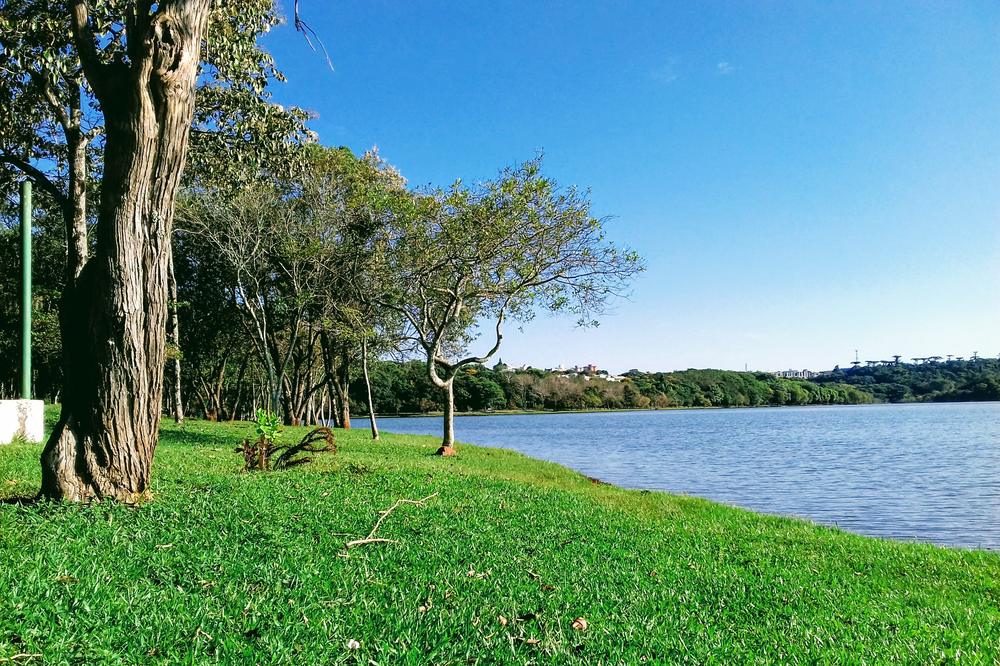Parque Ecológico Paulo Gorski — foto 1 de 4